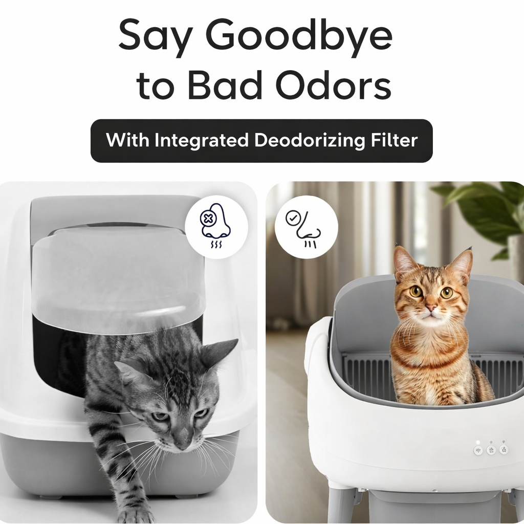 Open-Top Self Cleaning Cat Litter Box